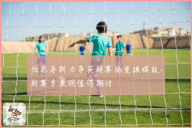 伯恩茅斯力争英超赛场重振旗鼓，新赛季表现值得期待